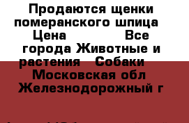 Продаются щенки померанского шпица › Цена ­ 45 000 - Все города Животные и растения » Собаки   . Московская обл.,Железнодорожный г.